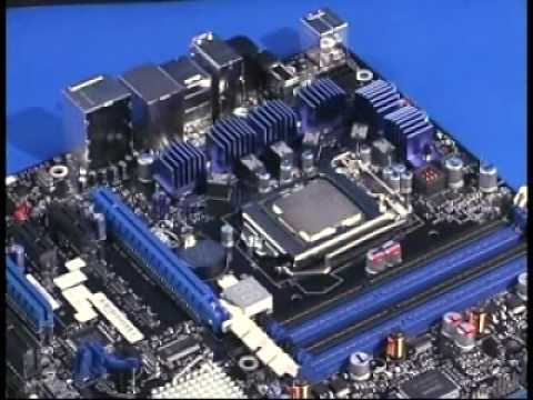 lga 1155 processors